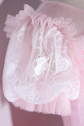 Pink Tulle Lace Long Prom Dress, Lovely A-Line Short Sleeve Evening Dress