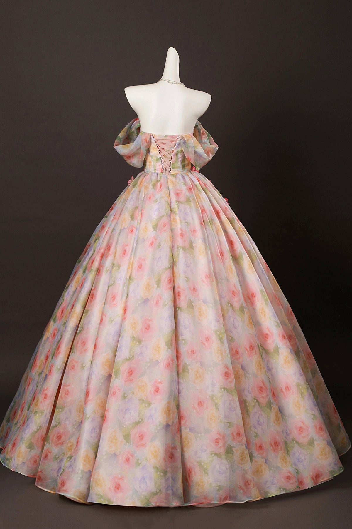 Hand Painted Floral Organza Ball Gown with 3D Rose Appliques